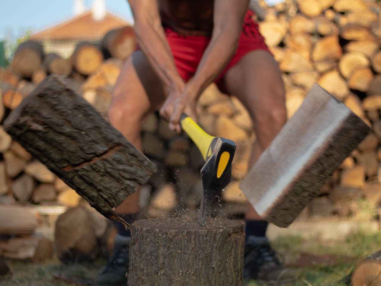 Dead Tree Removal in Maryville, TN